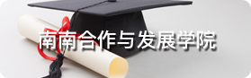 南南合作與發展學院